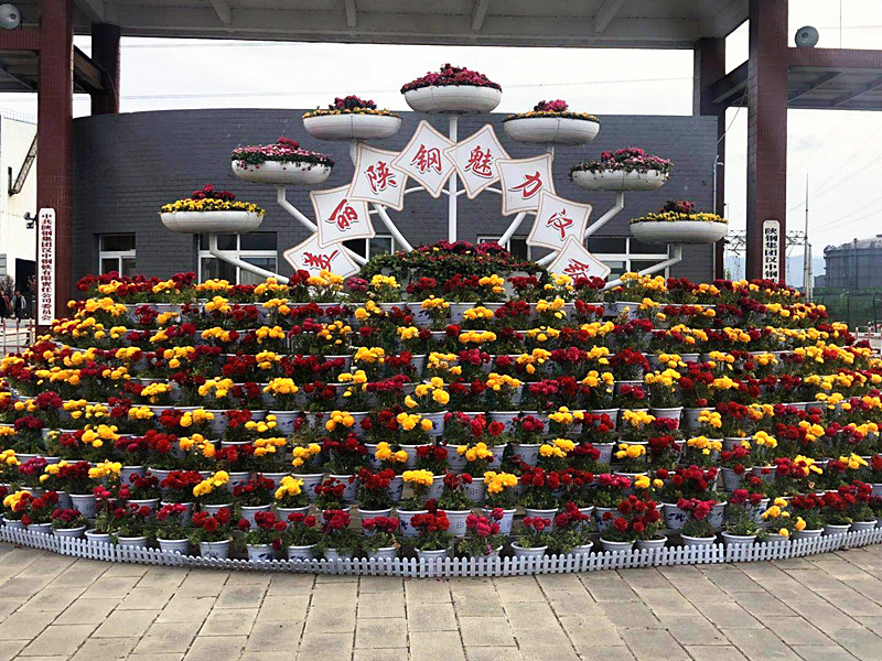 【美丽汉钢】美翻了,一起到汉钢来赏花! 【美丽汉钢】美翻了,一起到汉钢来赏花!