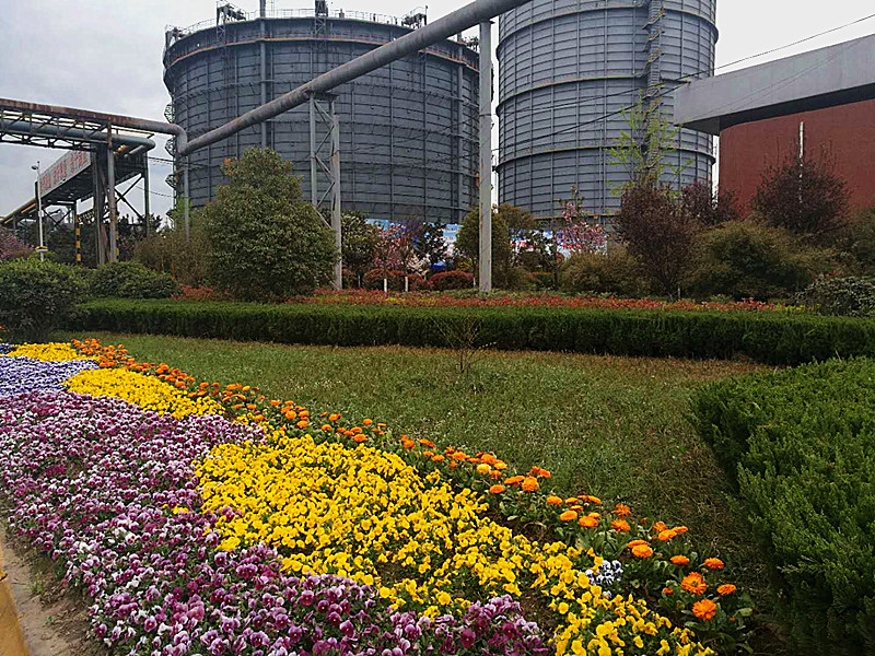 【美丽汉钢】美翻了,一起到汉钢来赏花! 【美丽汉钢】美翻了,一起到汉钢来赏花!