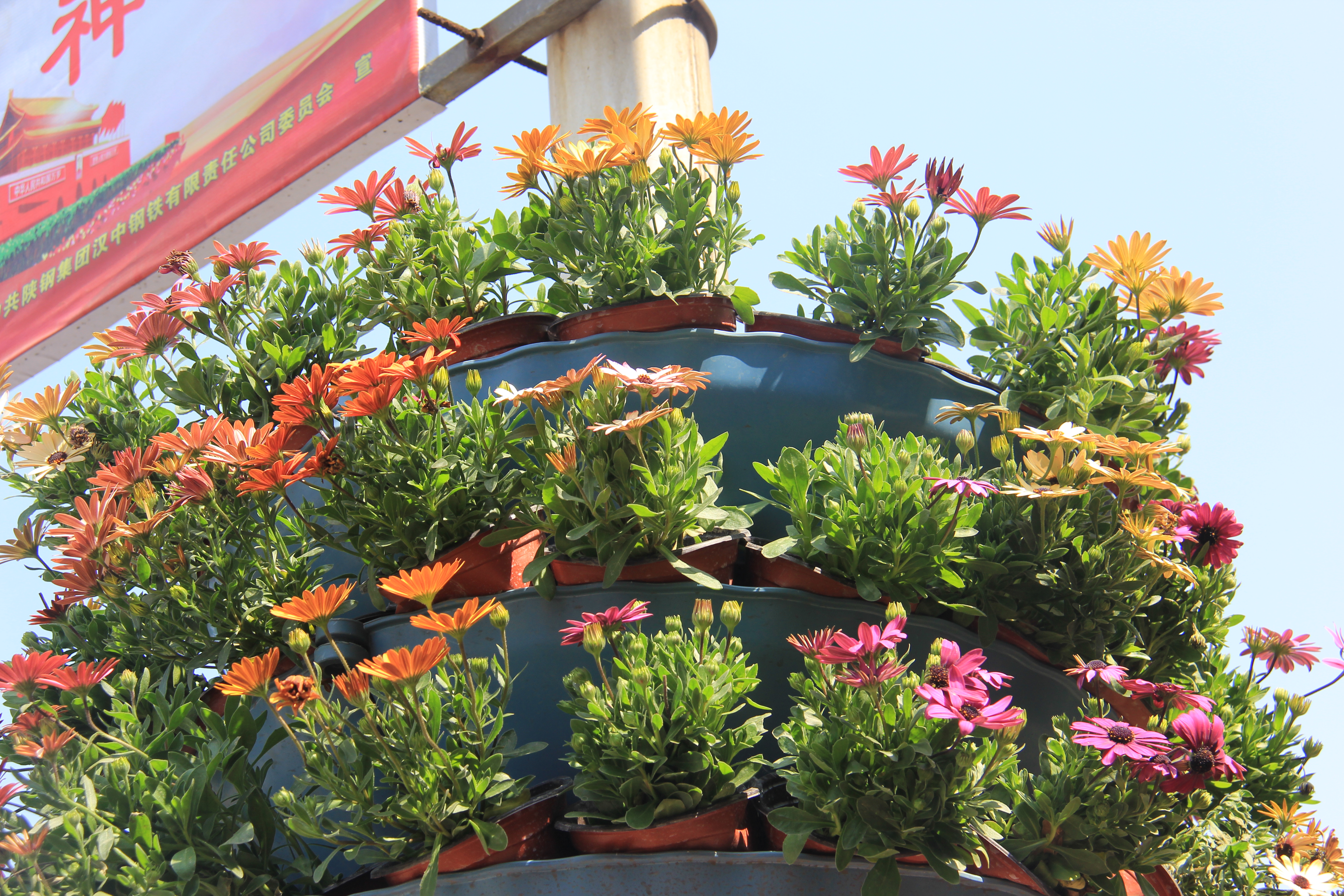 【美丽汉钢】美翻了，一起到汉钢踏春观花吧！