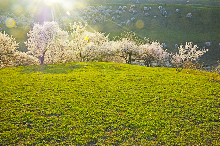 【钢城文苑】感受春天的气息 【钢城文苑】感受春天的气息