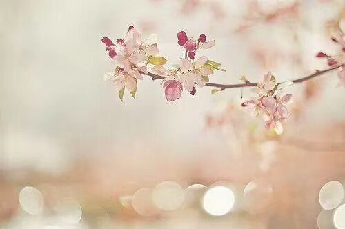 【钢城文苑】四月如歌 【钢城文苑】四月如歌