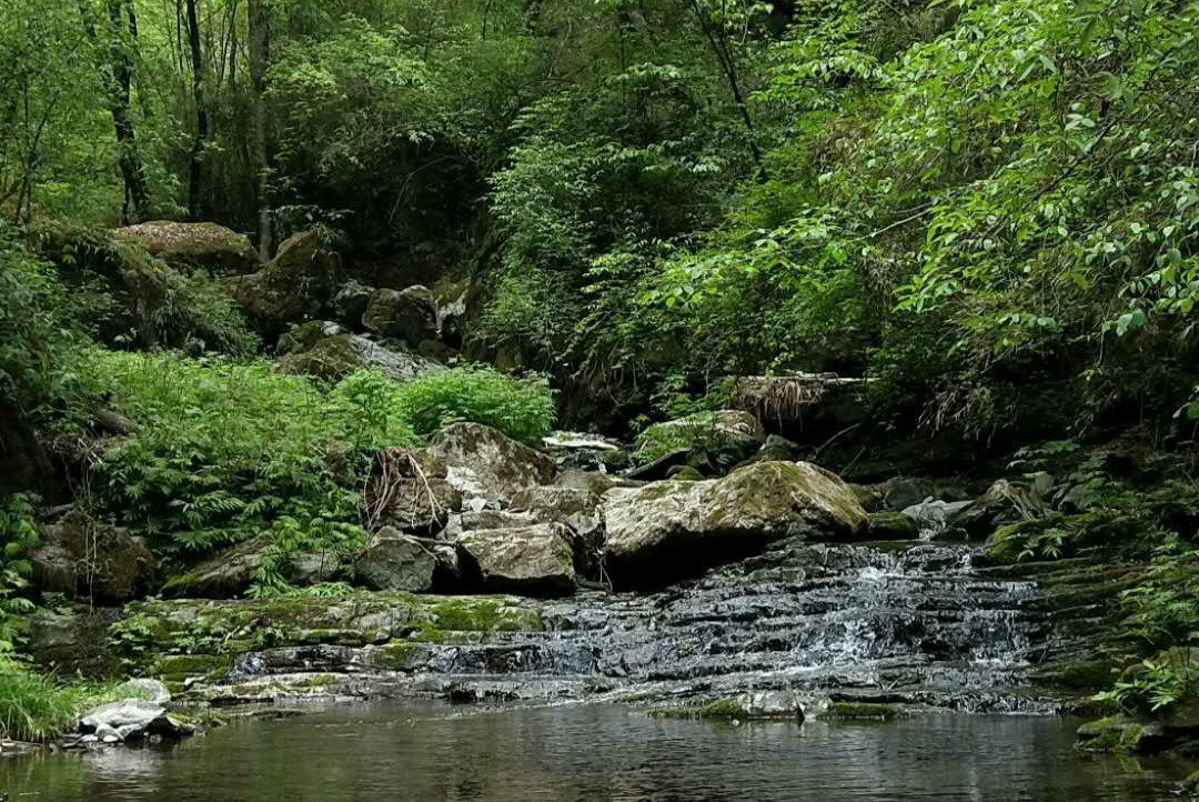 【钢城文苑】五龙洞游记 【钢城文苑】五龙洞游记