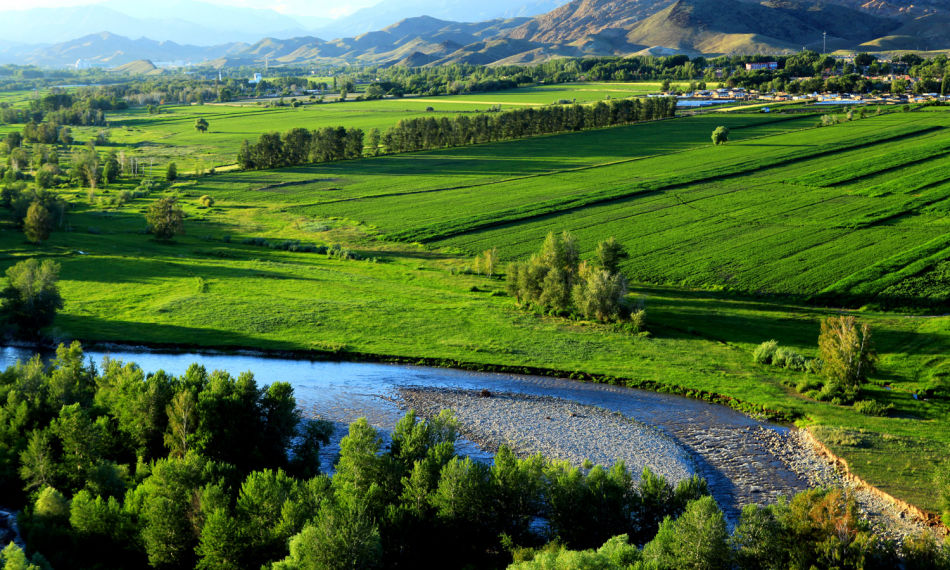 【钢城文苑】故乡的记忆