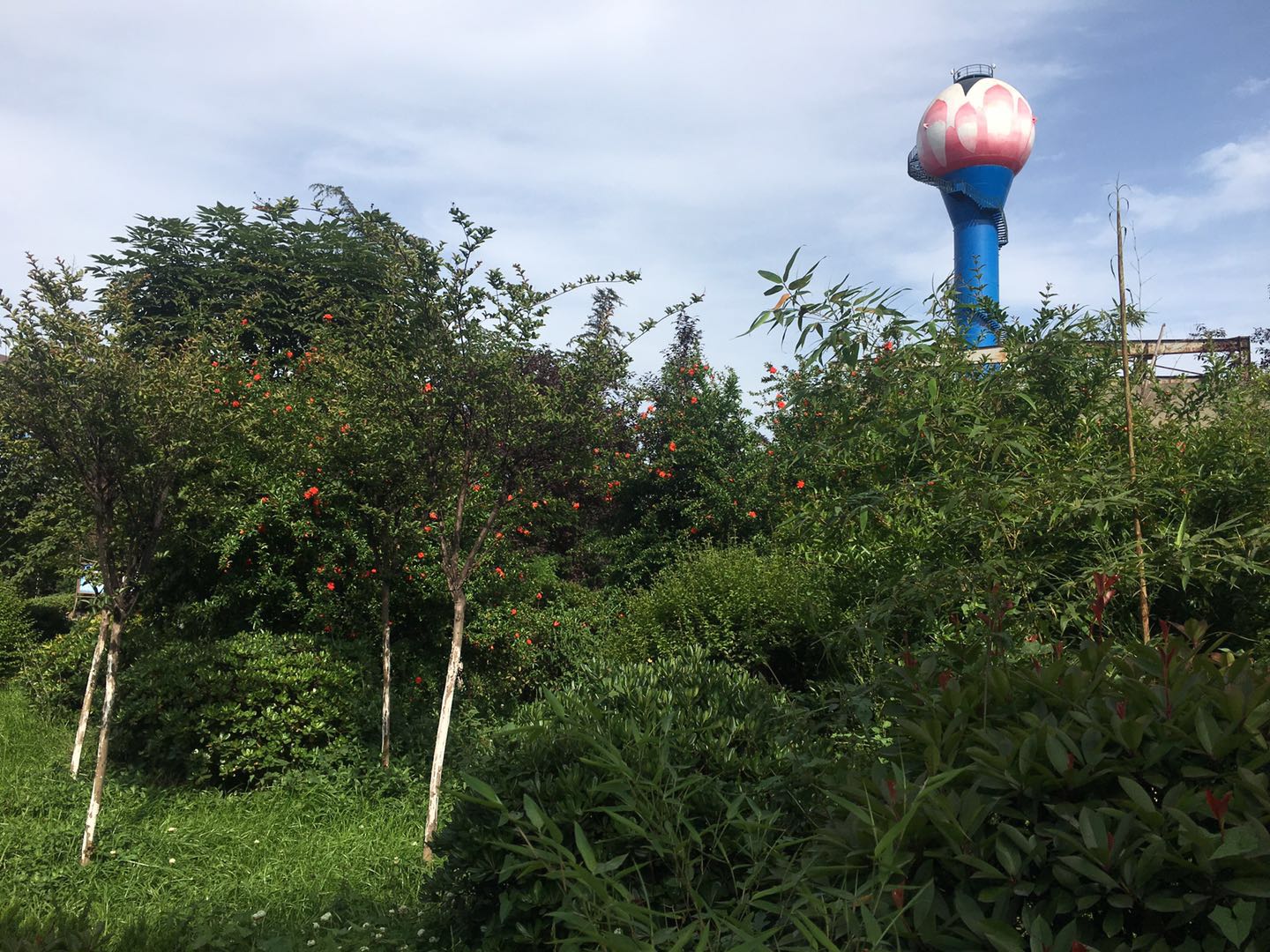 【美丽汉钢】点滴处推动绿色发展 【美丽汉钢】点滴处推动绿色发展