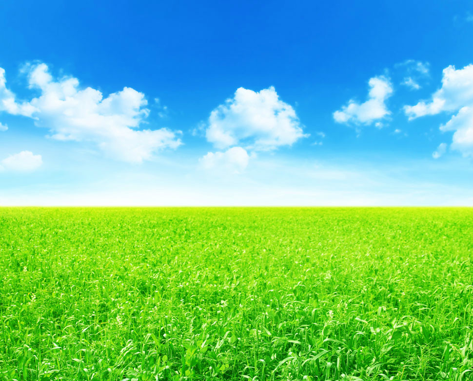 【钢城文苑】婆婆和她的土地 【钢城文苑】婆婆和她的土地