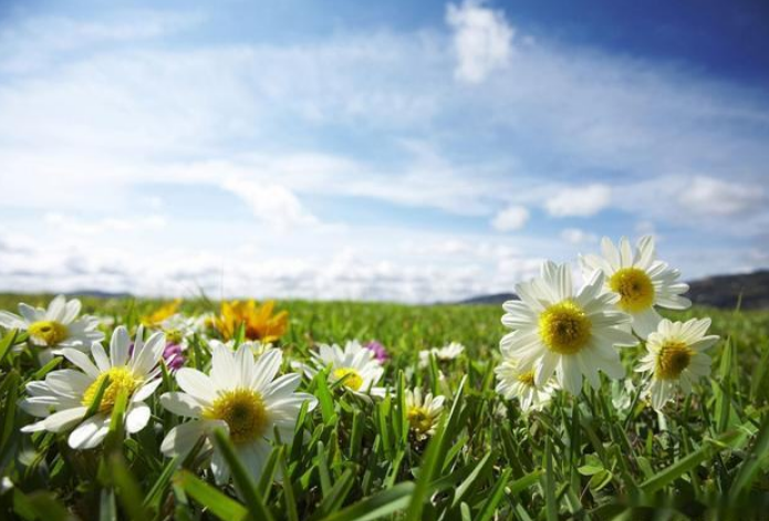 【钢城文苑】人生需自立 【钢城文苑】人生需自立