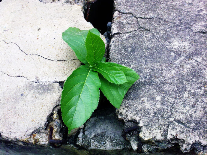 【钢城文苑】成长心语