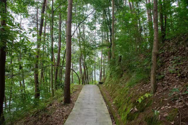 【钢城文苑】南湖的夏