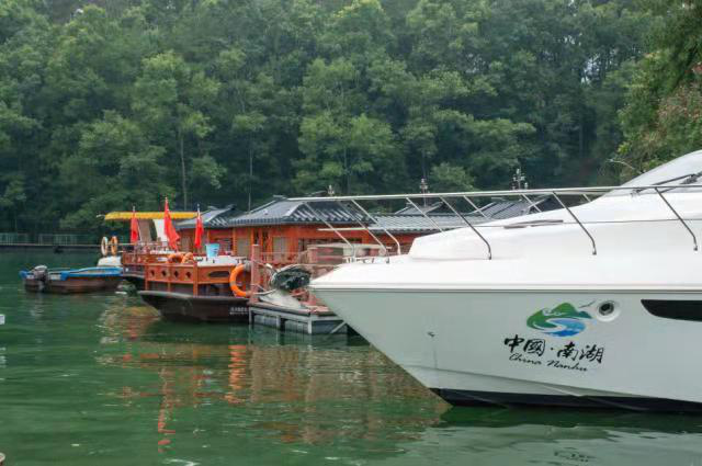 【钢城文苑】南湖的夏