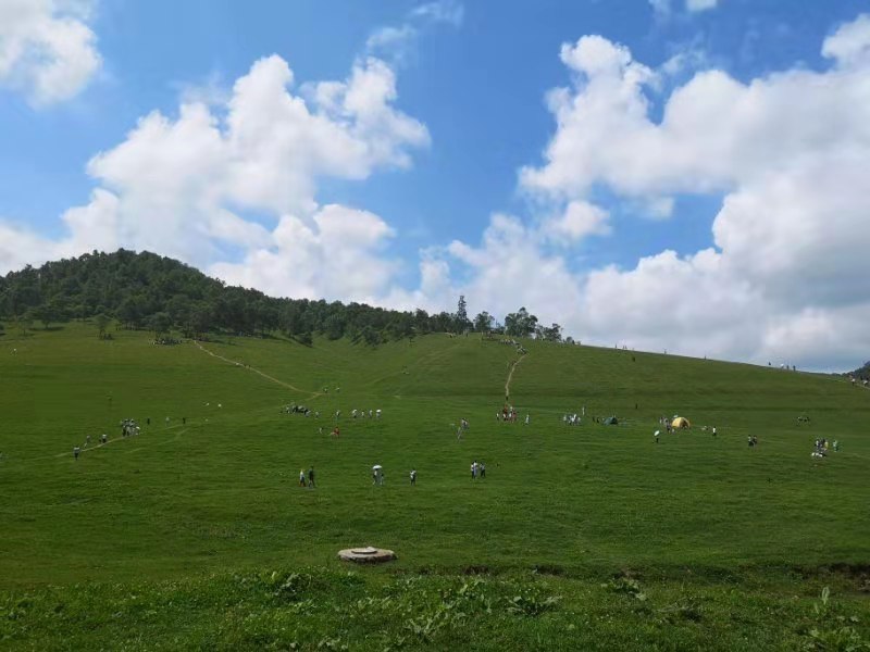 【钢城文苑】我想和你去草原 【钢城文苑】我想和你去草原