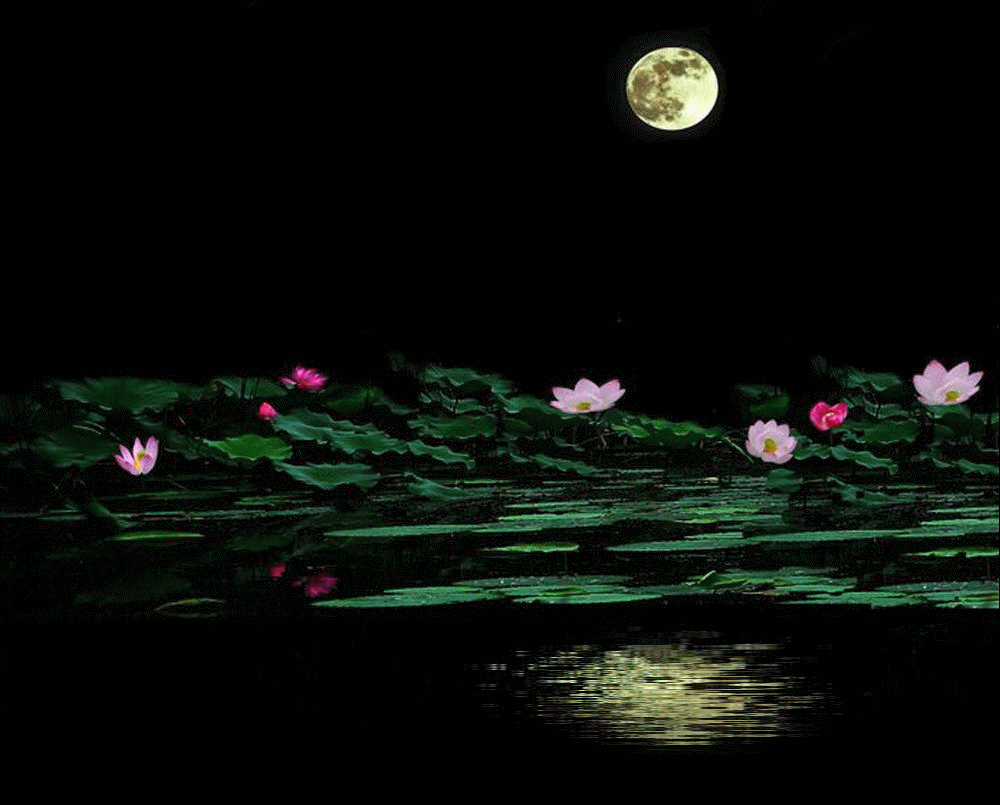 【钢城文苑】荷塘月色