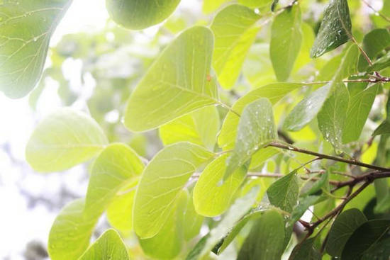 【钢城文苑】一年之期 【钢城文苑】一年之期