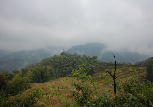 【钢城文苑】盼秋