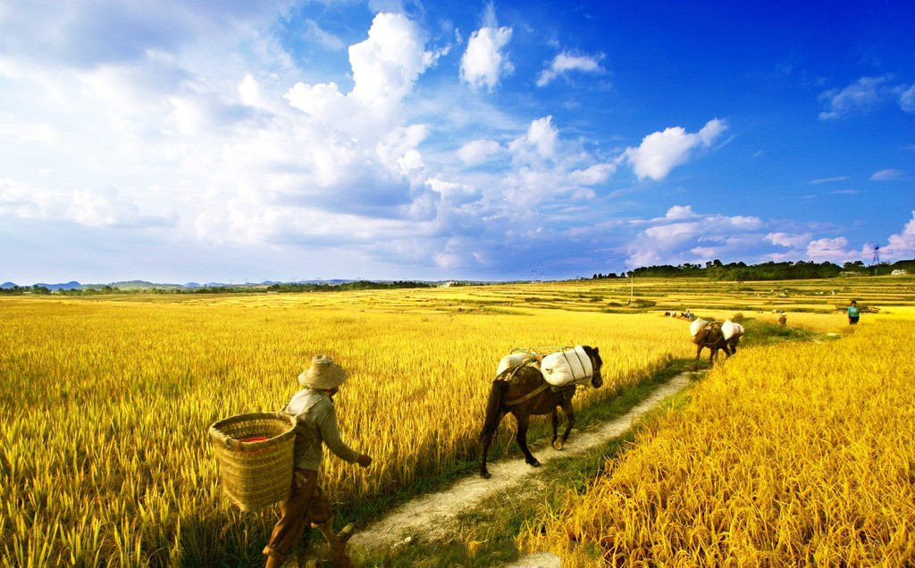 【钢城文苑】九月咏