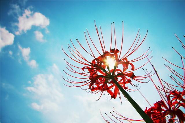 【钢城文苑】诗二首