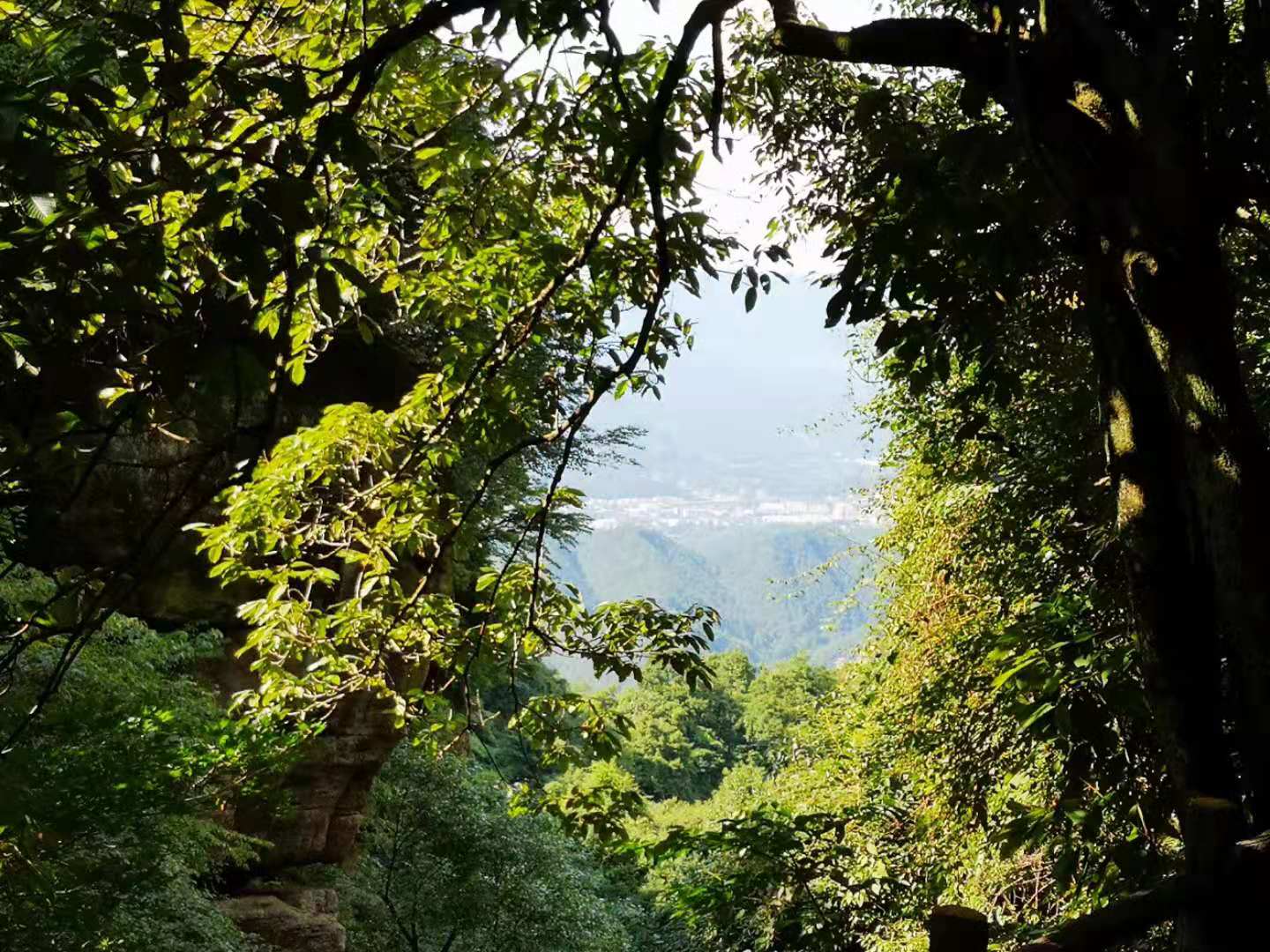 【钢城文苑】汉水源 生命源 【钢城文苑】汉水源 生命源