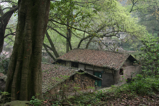 【钢城文苑】老屋