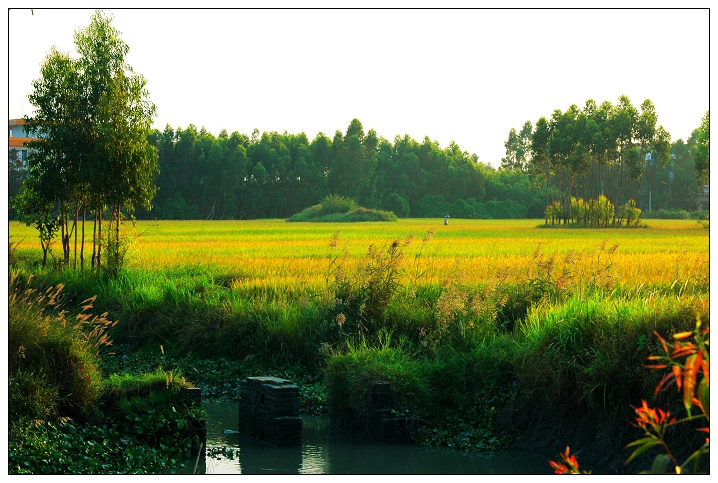 【钢城文苑】金秋时节 【钢城文苑】金秋时节