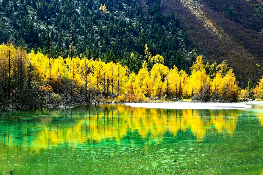 【钢城文苑】秋天的思恋 【钢城文苑】秋天的思恋