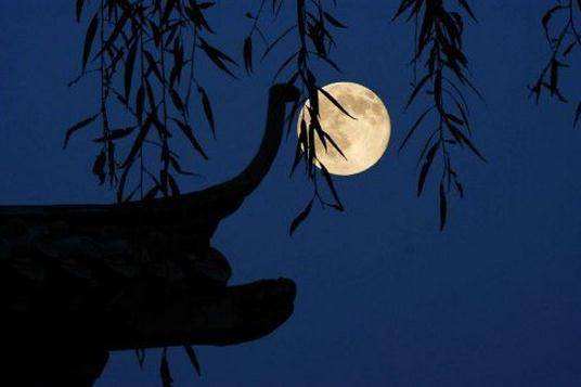 【钢城文苑】秋思落我家 【钢城文苑】秋思落我家