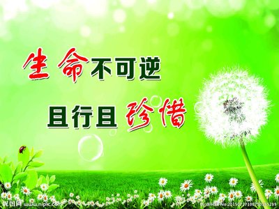 【钢城文苑】安全人生