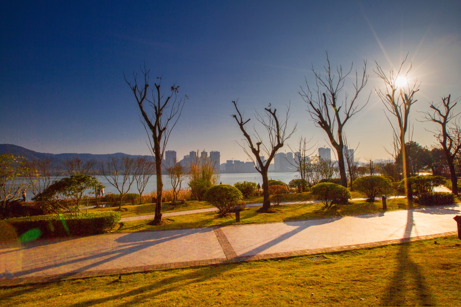 【钢城文苑】秋日暖阳