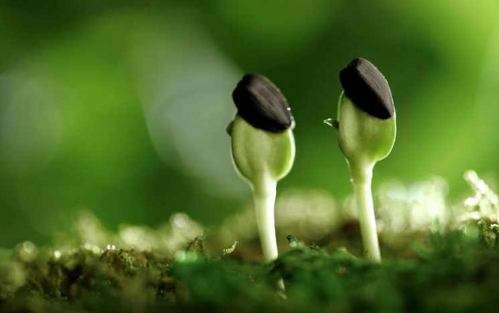 【钢城文苑】蜕变