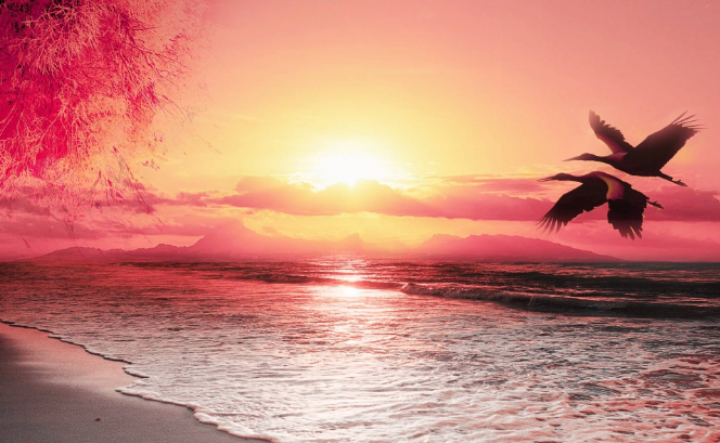 【钢城文苑】秋梦在北方-枯草颂歌 【钢城文苑】秋梦在北方-枯草颂歌