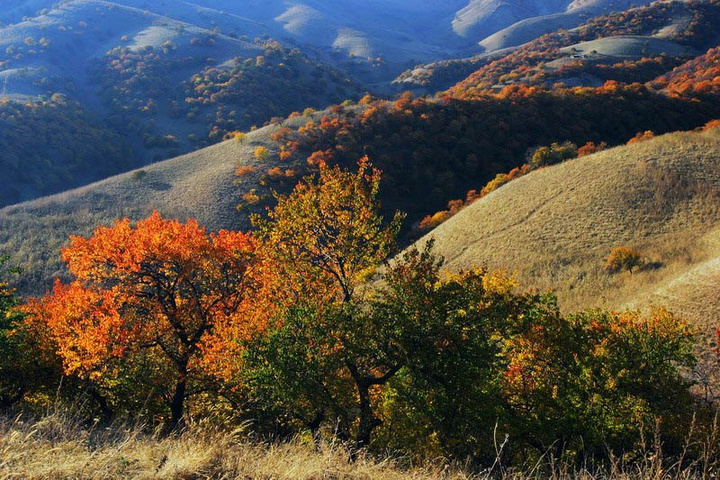 【钢城文苑】秋感 【钢城文苑】秋感