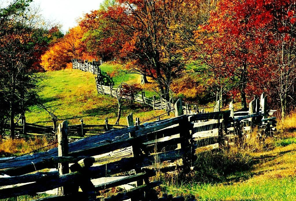 【钢城文苑】逢秋