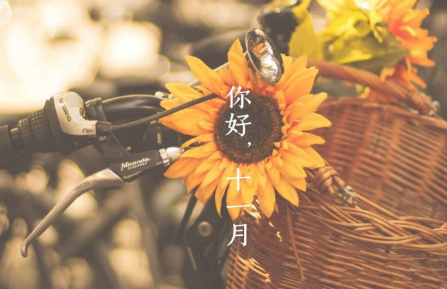 【钢城文苑】十一月,收获美好 【钢城文苑】十一月,收获美好