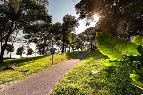 【钢城文苑】故乡的秋 【钢城文苑】故乡的秋