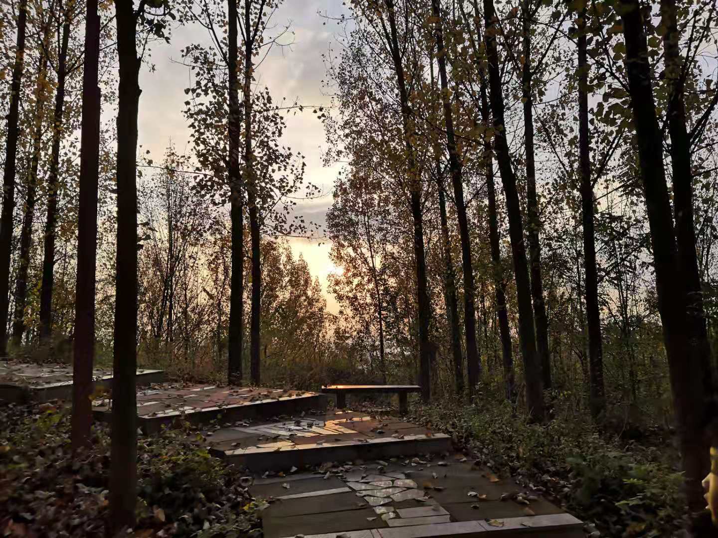 【钢城文苑】汉中之秋