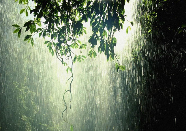 【钢城文苑】雨声嘀嗒 【钢城文苑】雨声嘀嗒