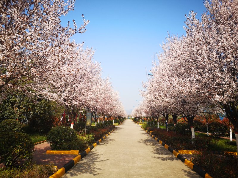 【美丽汉钢】冬日踏青哪里去,汉钢公司欢迎你! 【美丽汉钢】冬日踏青哪里去,汉钢公司欢迎你!