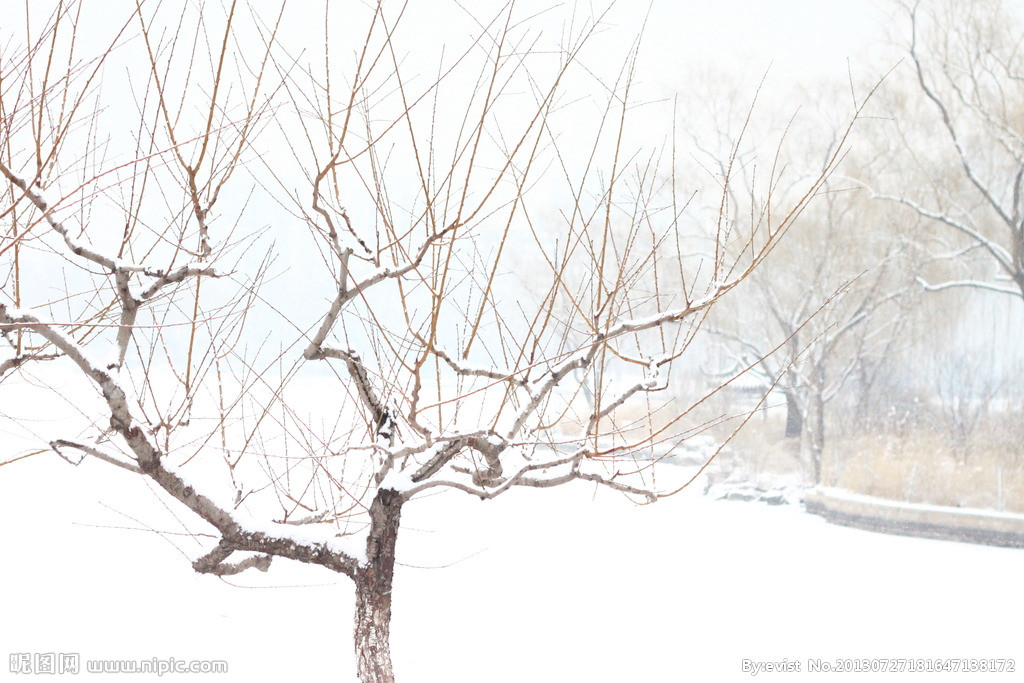 【钢城文苑】秋尽冬来 【钢城文苑】秋尽冬来