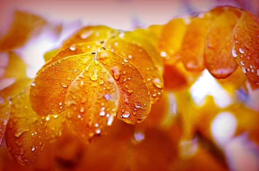 【钢城文苑】第一场冬雨 【钢城文苑】第一场冬雨