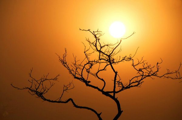 【钢城文苑】冬日暖阳 【钢城文苑】冬日暖阳