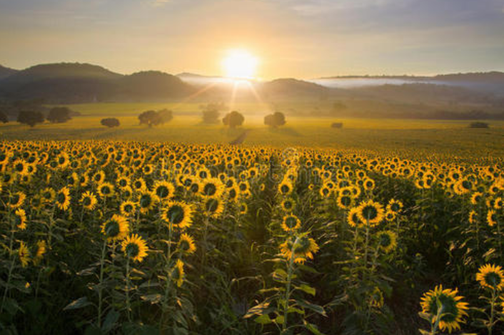 【钢城文苑】总有一种期待 【钢城文苑】总有一种期待