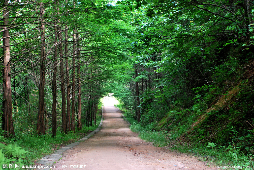 【钢城文苑】家乡的那条小路 【钢城文苑】家乡的那条小路