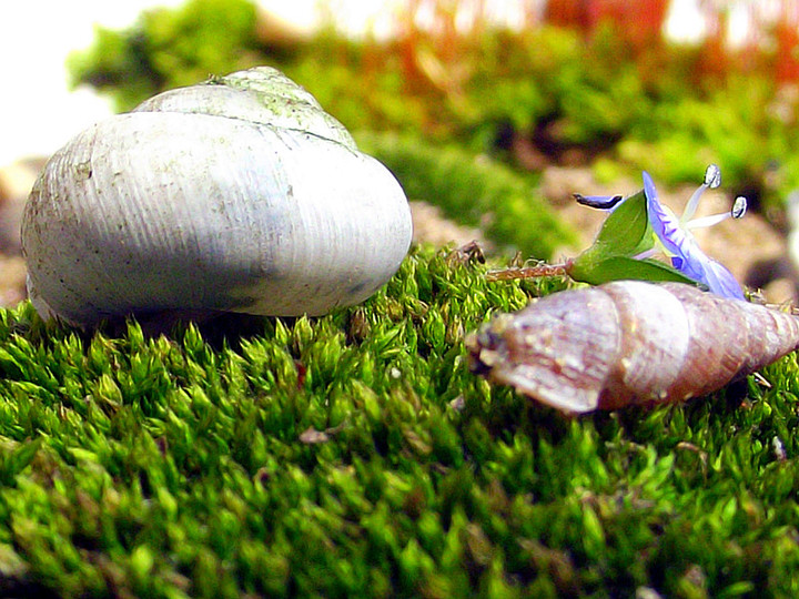 【钢城文苑】实习纪实 【钢城文苑】实习纪实