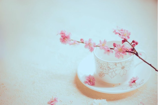 【钢城文苑】匆匆又一年 【钢城文苑】匆匆又一年