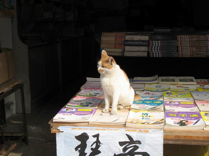 【钢城文苑】老周和他的书报摊 【钢城文苑】老周和他的书报摊