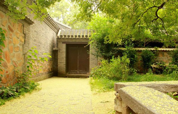 【钢城文苑】院子里的四季