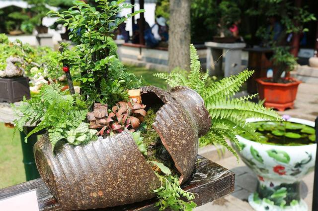 【钢城文苑】瓦缸 【钢城文苑】瓦缸