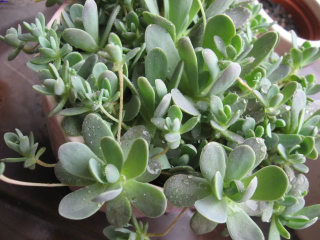 【钢城文苑】莫负韶华 【钢城文苑】莫负韶华