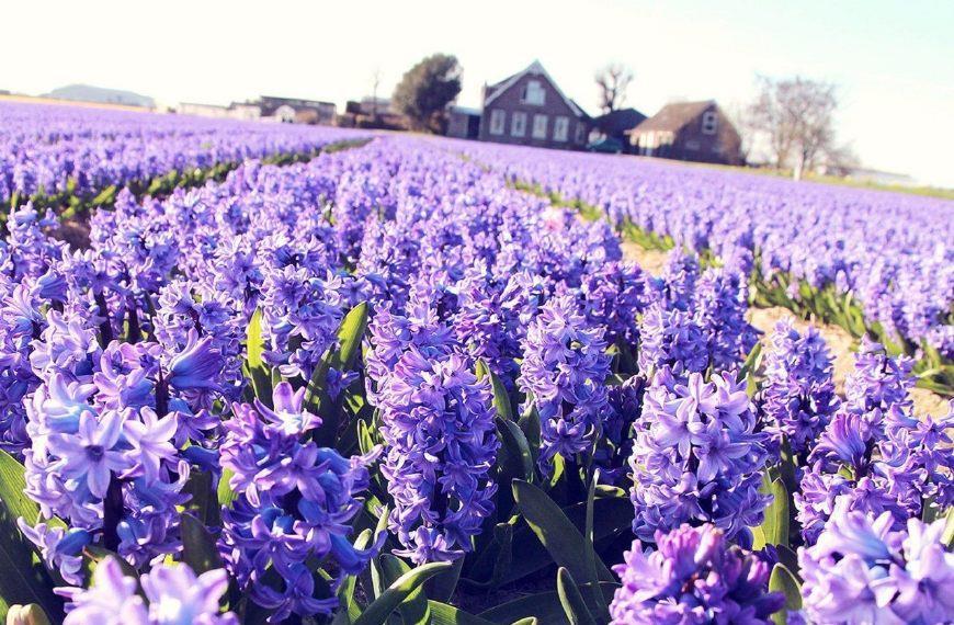 【钢城文苑】做一个积极乐观的自己 【钢城文苑】做一个积极乐观的自己