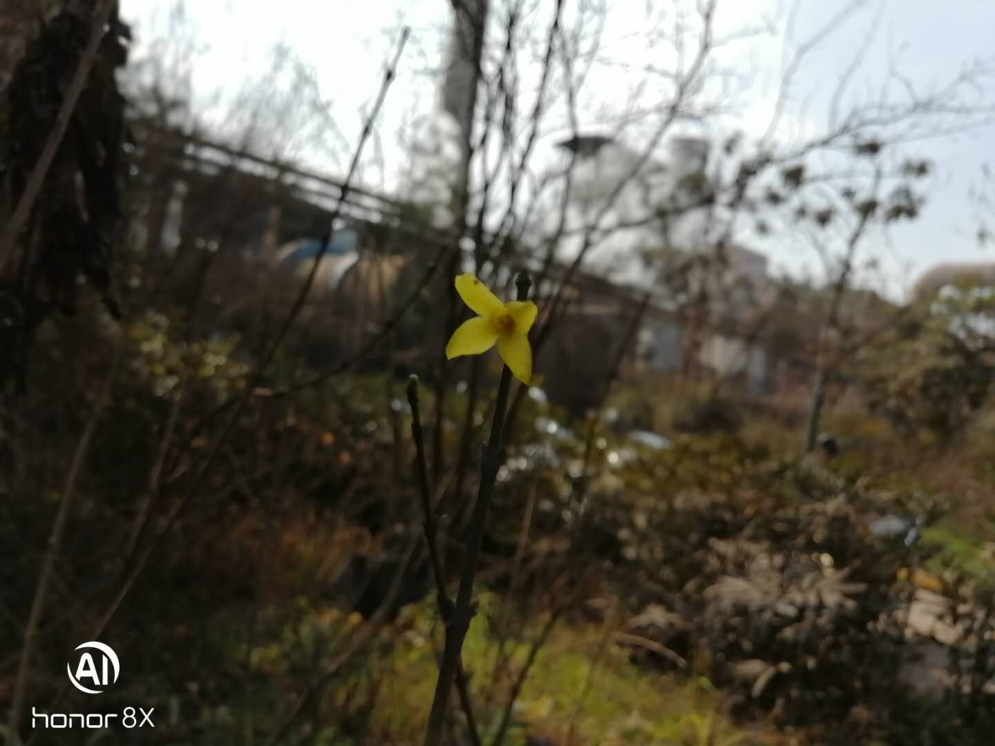 【钢城文苑】烧结之春 【钢城文苑】烧结之春