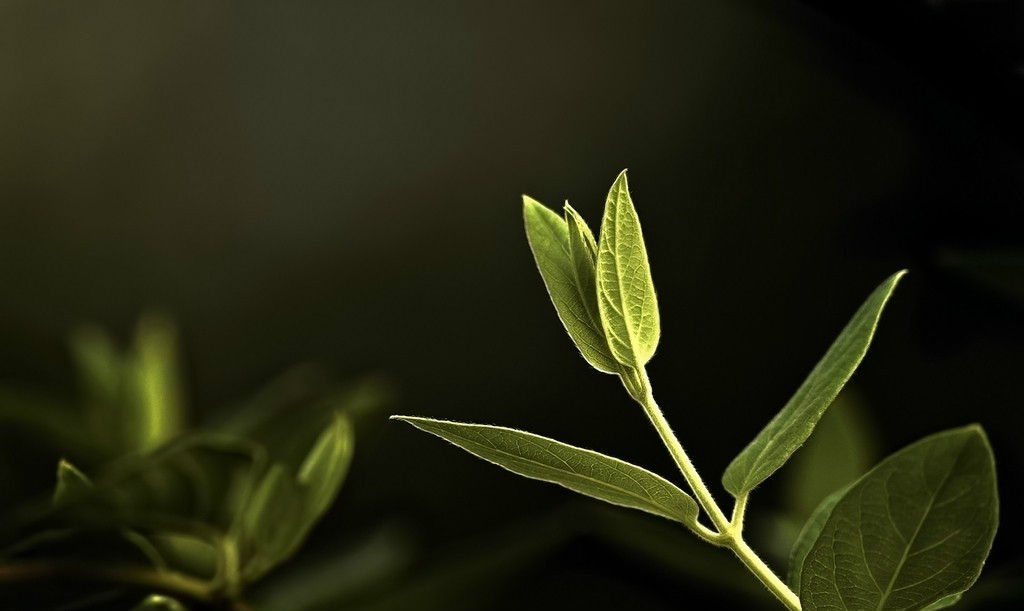 【钢城文苑】风雨之后，终有希望