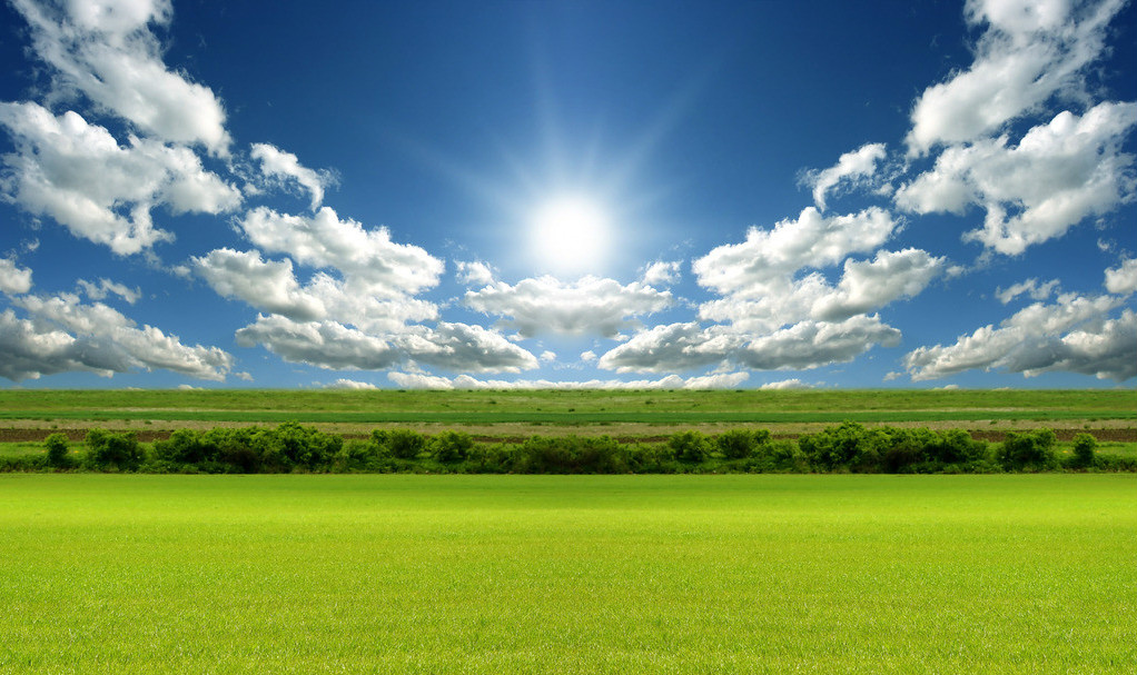 【钢城文苑】奔跑在阳光下 【钢城文苑】奔跑在阳光下